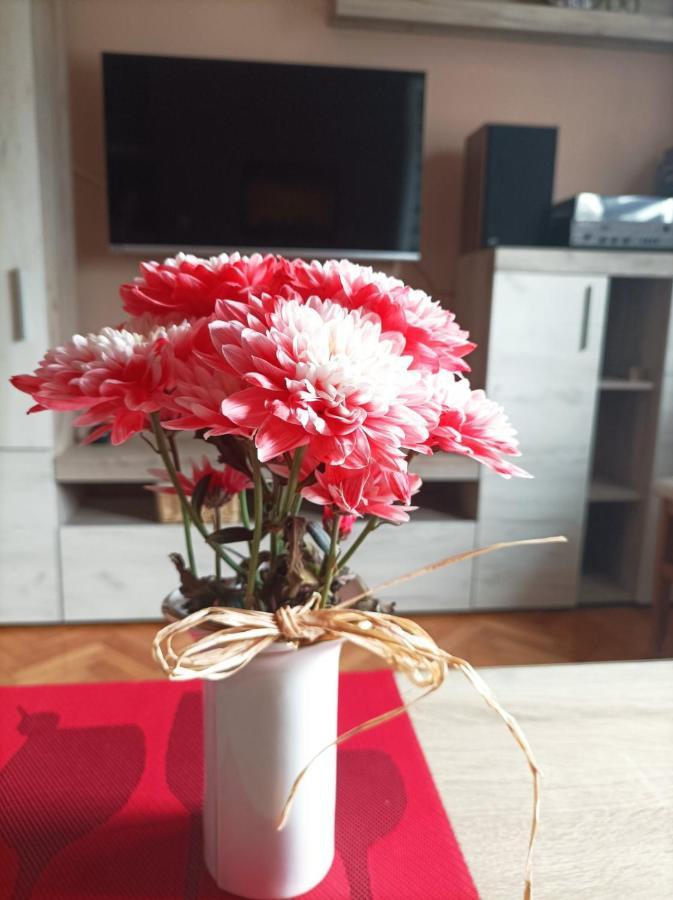 Iva Centar Apartman Valjevo Kültér fotó